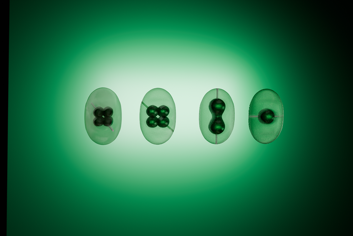 Silt Crystal Glass detail 6